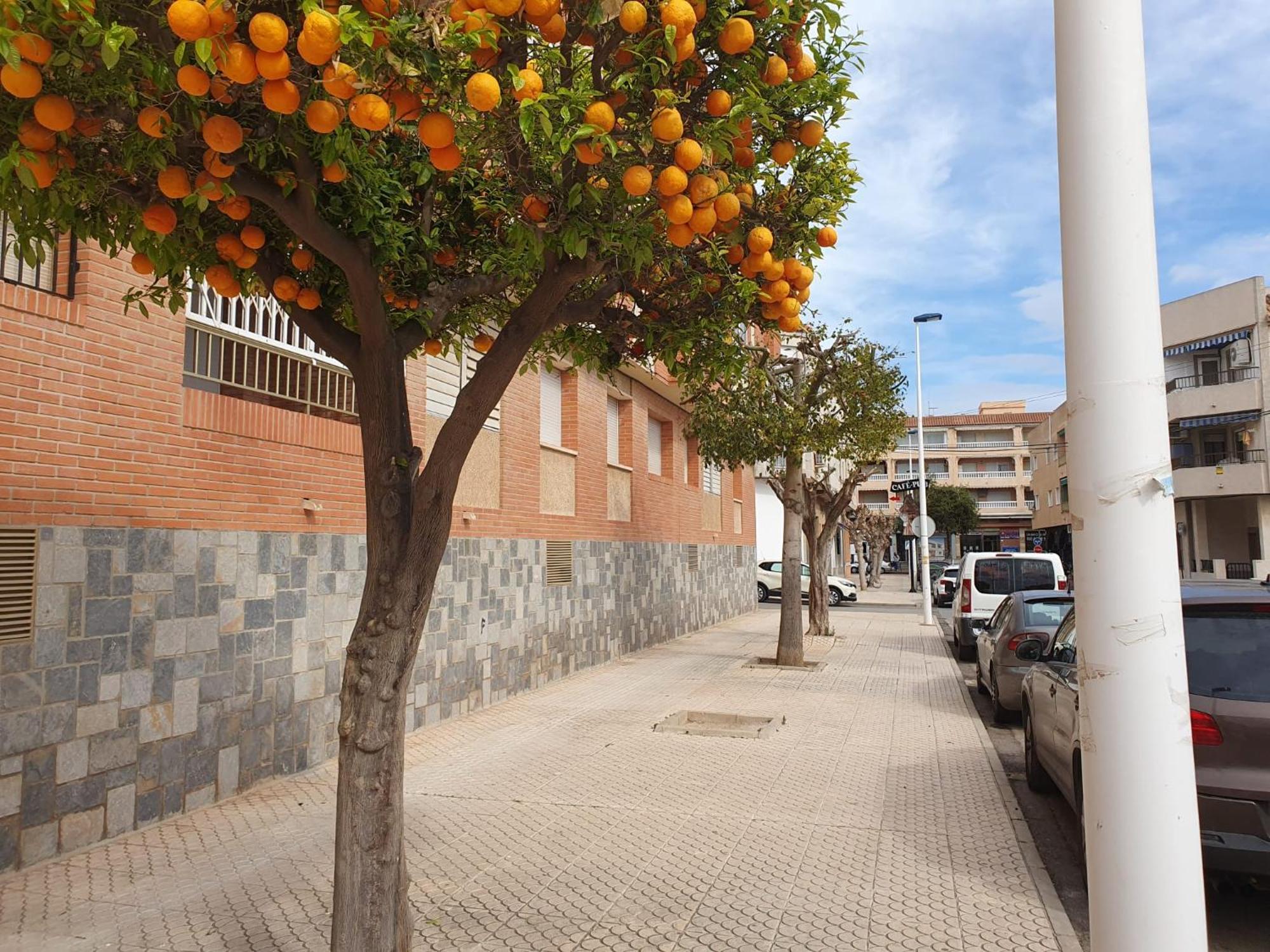 Casa Victor Lejlighed San Pedro del Pinatar Eksteriør billede